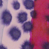  Dot Painting I 2004.