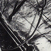Yacht 1977