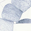 Bread drawing No.2