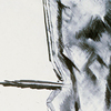 Still life 1977