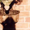  Shadow with pot & basket 2000.