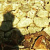 Wall Shadow No.4