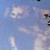Tree & Figure Shadow
